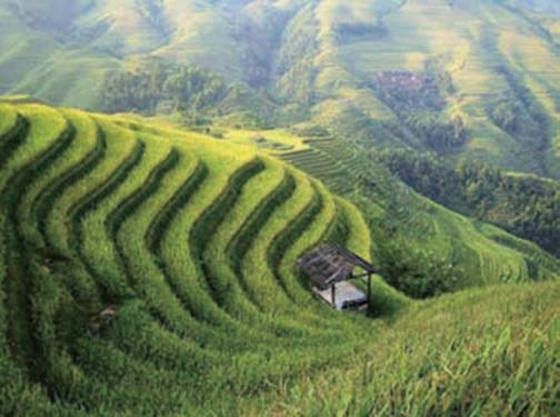 农田排灌、水利领域