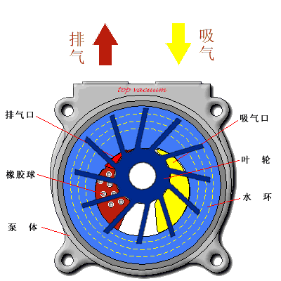 水环真空泵工作原理图